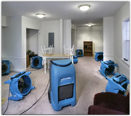 Basement Flood Cleanup in San Gabriel, CA
